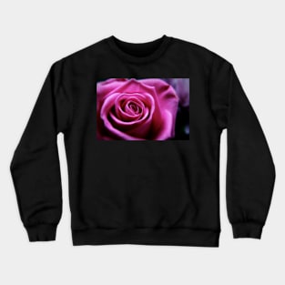 Soft Pink Rose Macro Crewneck Sweatshirt